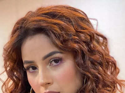 Makeup lessons to take from Shehnaaz Gill
