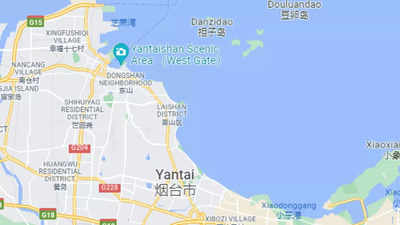 4 dead, 7 missing after cargo ship sinks off east China coast