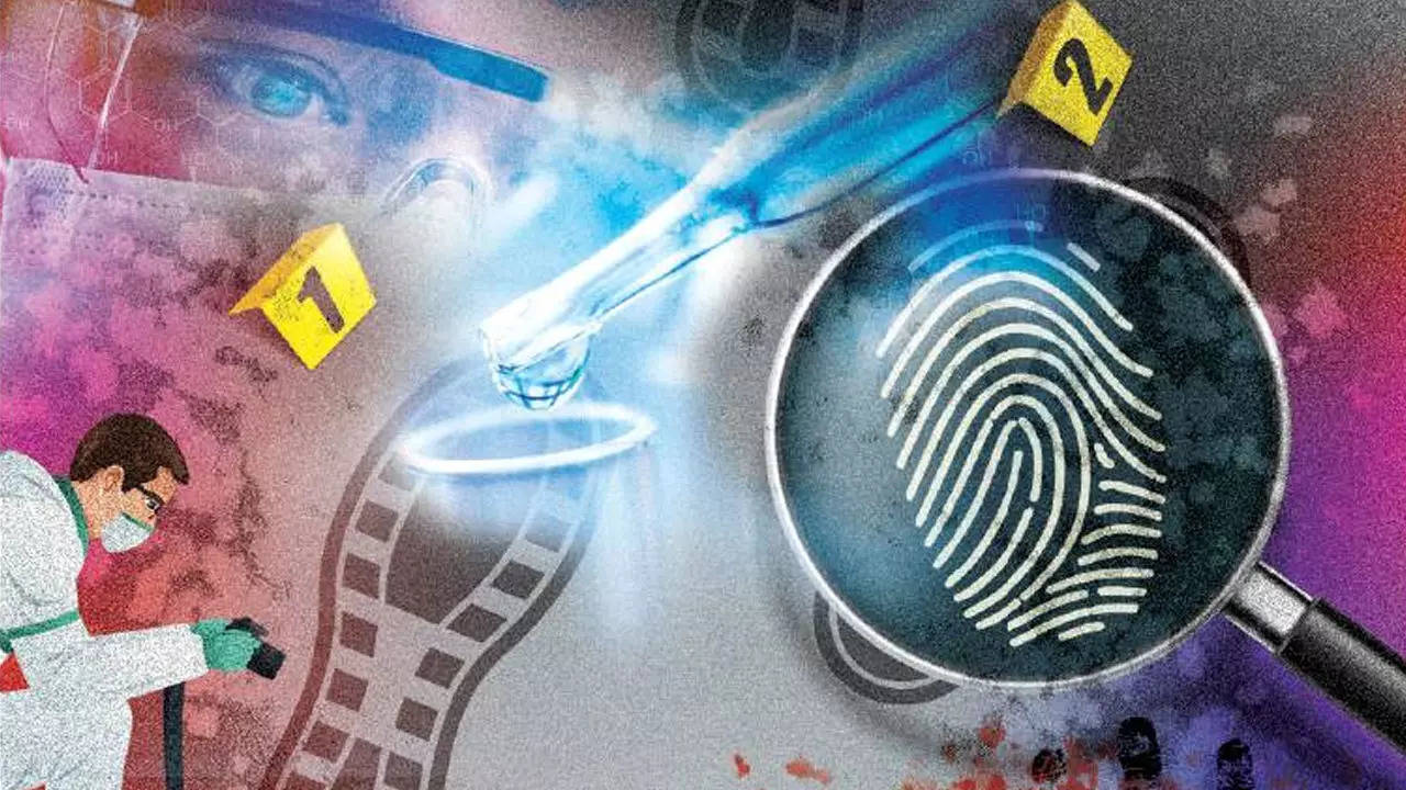 Delhi: Courting trouble... how endless wait for forensic reports is  delaying justice | Delhi News - Times of India