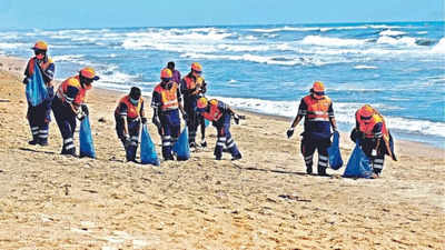 Chennai: 60 tonnes of waste removed from Besant Nagar beach