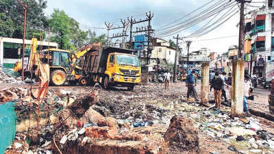 Chitlapakkam Lake Garbage Removed | Chennai News - Times of India