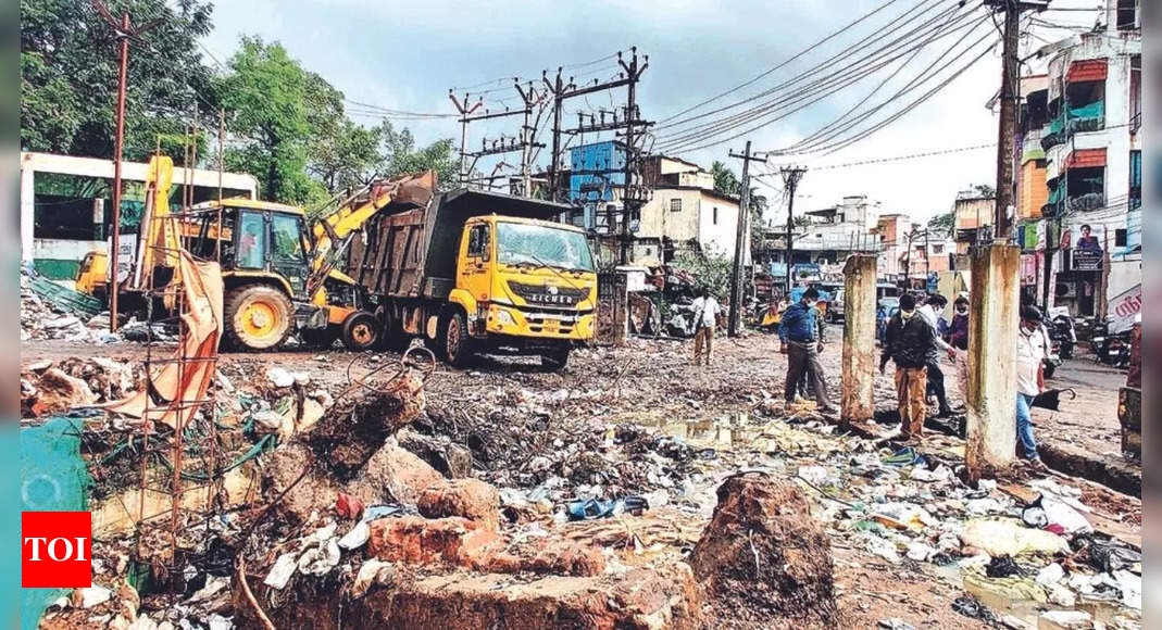 Chennai: Chitlapakkam lake garbage removed