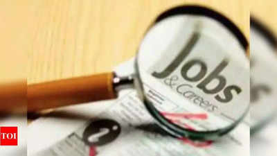 Over 51 lakh senor citizens identified in Rajasthan for Centre's job portal