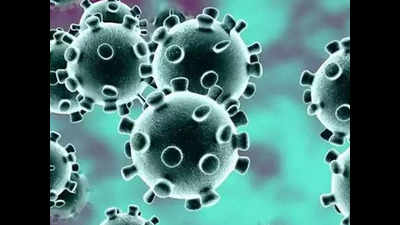 Covid-19: 8 more persons test positive for omicron variant in Rajasthan, tally rises to 17