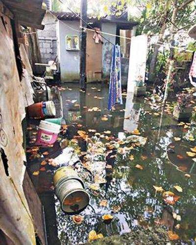 City, West Kochi areas face inundation during high tide