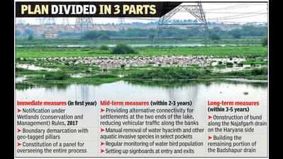 Haryana plans wetland tag for Najafgarh lake