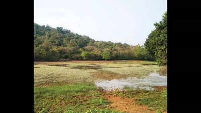 Pilerne’s Saulem lake is Goa’s seventh notified wetland