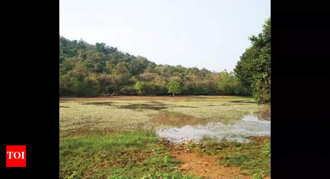 Pilerne’s Saulem lake is Goa’s seventh notified wetland