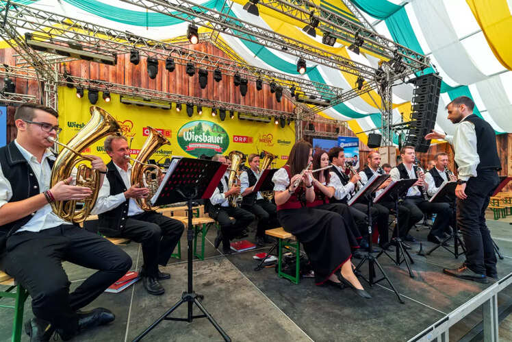 Explore Vienna's musical heritage