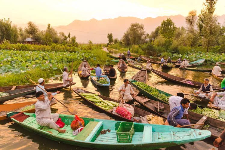 Row across Dal Lake morning market