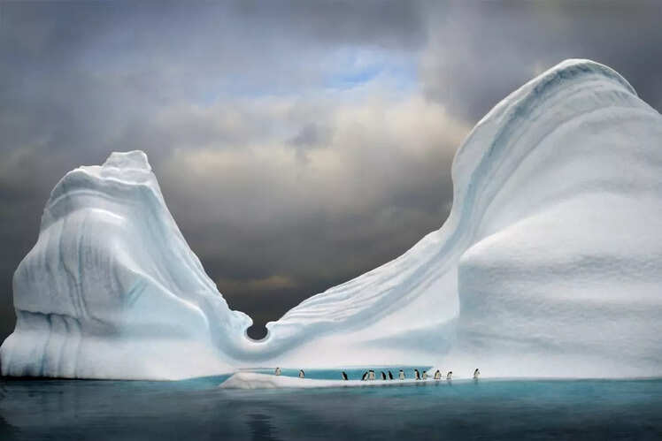 Visit the penguins in Antarctica