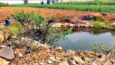 Maharashtra: Woman fails to slam brakes of car, drowns in open well