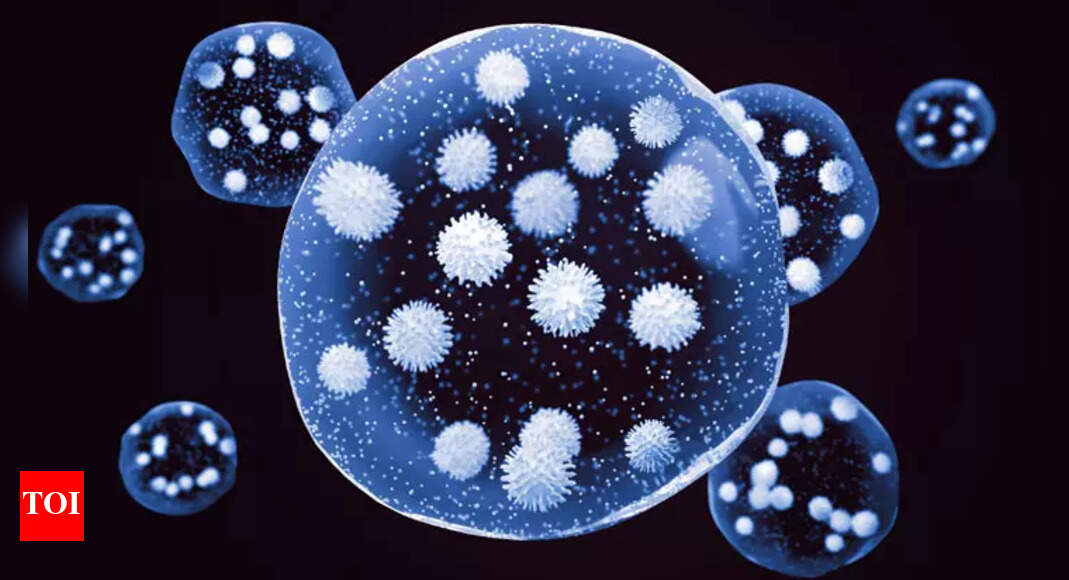 Omicron: A clue to why Omicron is spreading fast — and causing mild ...