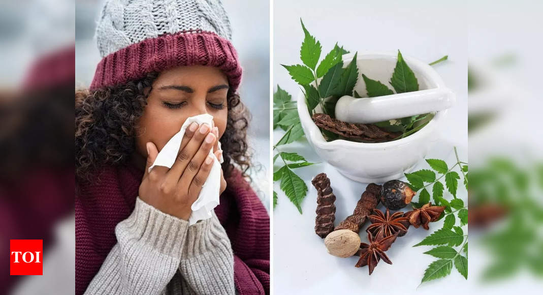4 immunity-boosting herbs to fight off infections naturally