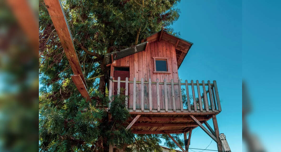 You will soon be able to stay in a treehouse in Uttarakhand forests