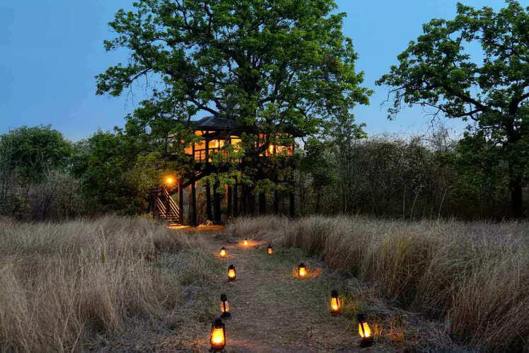 Pench Tree Lodge