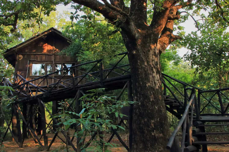 Treehouse Hideaway