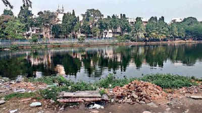 Green contest: Jodhpur Park-Lake Gardens residents want plastic-free belt with more trees