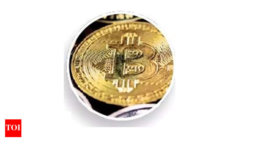 Indians betting big on crypto: WazirX report