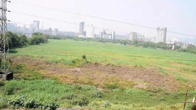 3 realtors got 80% of biz land in Noida, ran up Rs 14,000cr dues: CAG