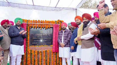 Punjab CM Charanjit Singh Channi lays foundation stone of high level bridge on Haripur Nala