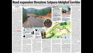 Road expansion threatens Satpura-Melghat tiger corridor