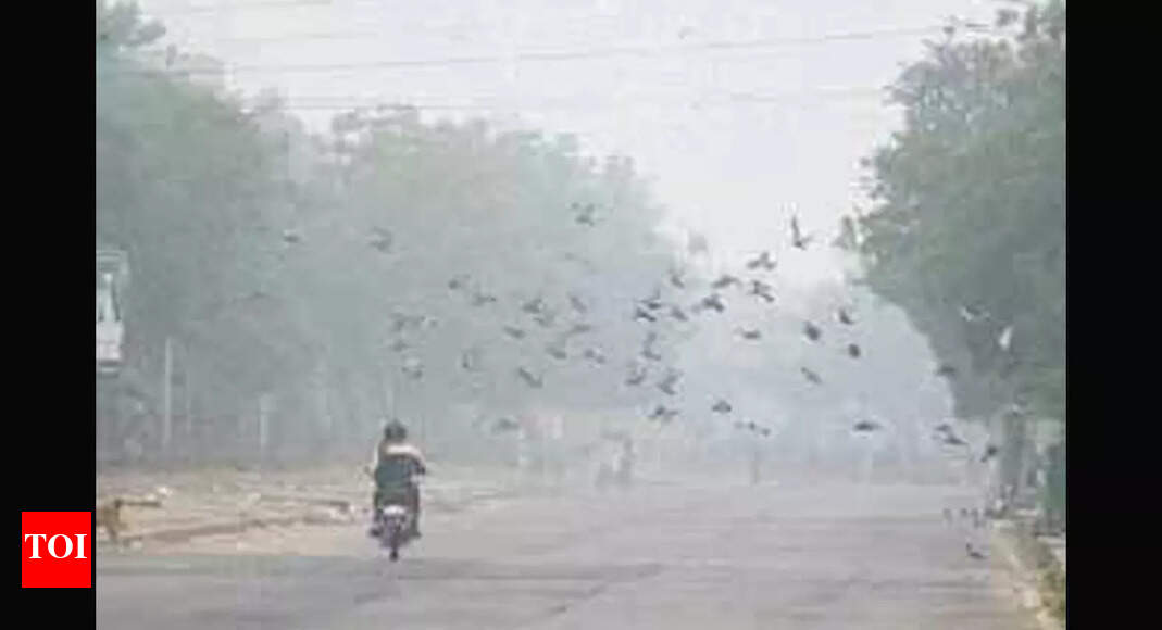 Cold wave grips N India; Sikar, Churu below freezing point
