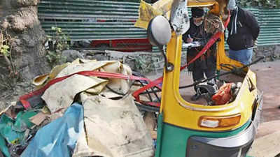 13-year-old among four killed as container crushes auto in Delhi