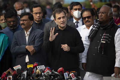 Will always be with you to fight injustice: Rahul Gandhi to media