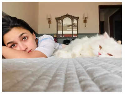 Alia Bhatt has the 'purrfect' Monday morning with her fur baby – See pic