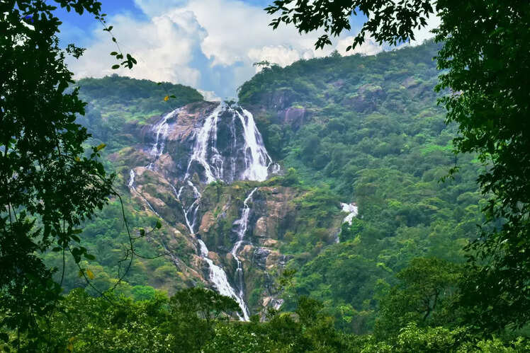 Discover hidden waterfalls 