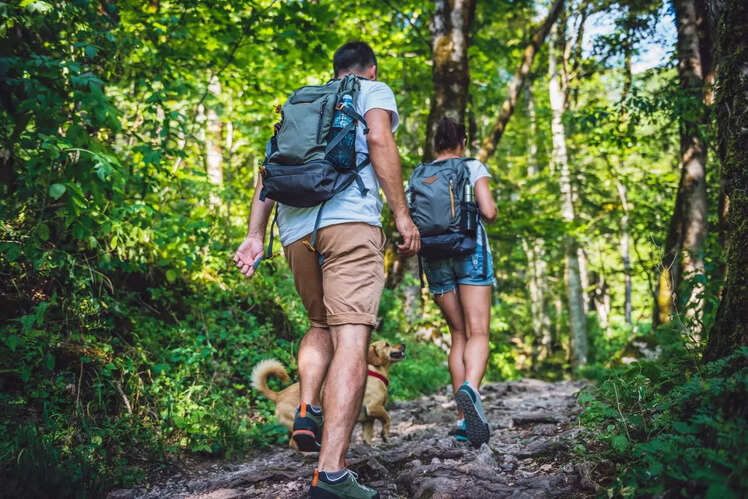 Trekking trails 