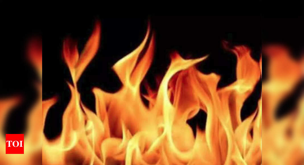 Fire in Odisha gutkha factory; 28 injured