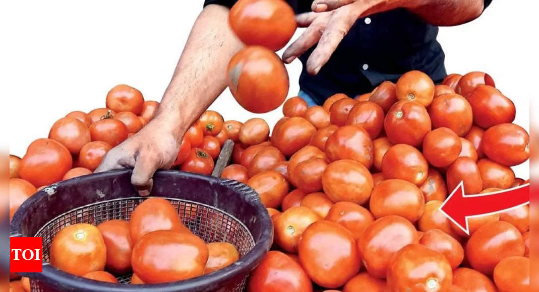 Chennai: Here is why your tomato is so costly