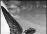 10 signs you have ANGELS guarding you