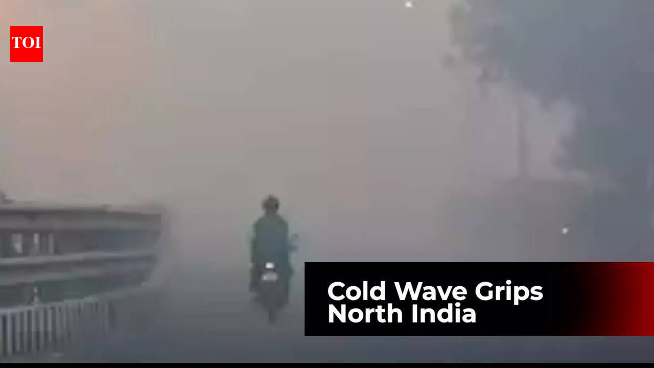 Watch: How cold wave is sweeping across North India