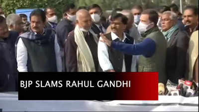 ‘Rajiv Gandhi father of lynching’: BJP responds to Rahul's attack on Modi govt