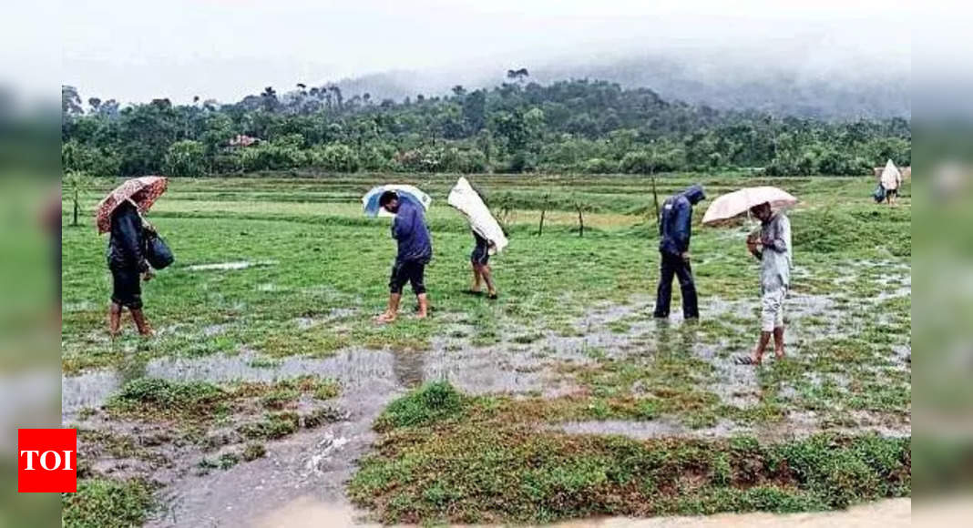 Karnataka: Relief for crop loss due to calamities up | Hubballi News ...