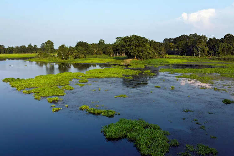 Majuli, Assam