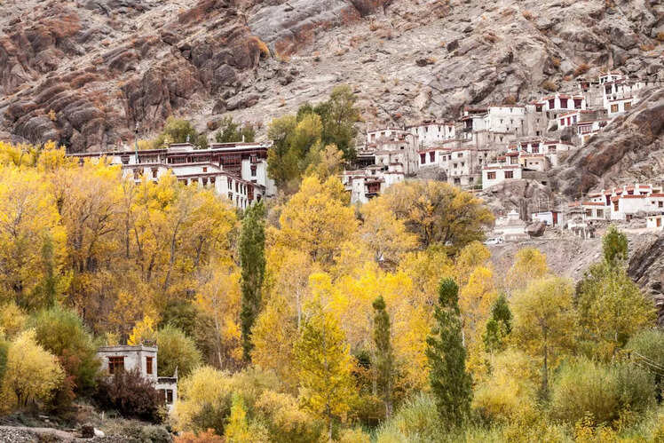 Hemis, Leh