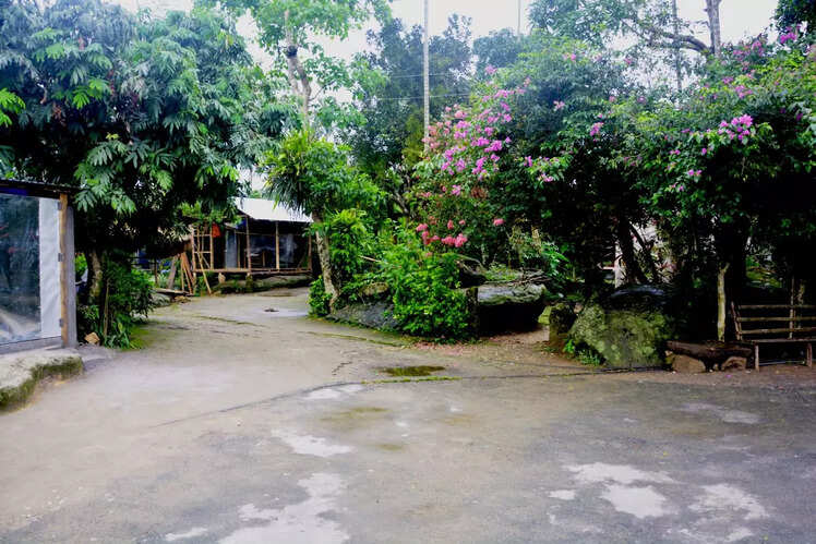 Mawlynnong, Meghalaya