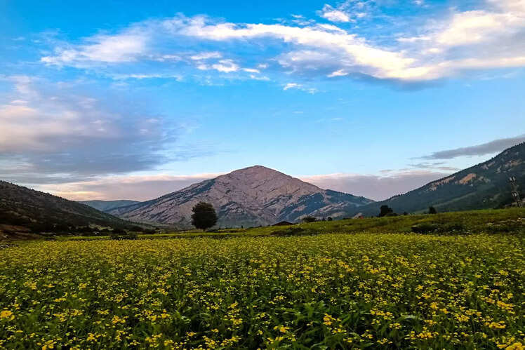 Gurez Valley, Kashmir
