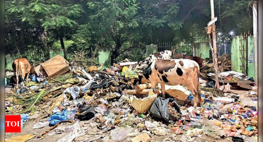 Chennai corporation park turns dump yard