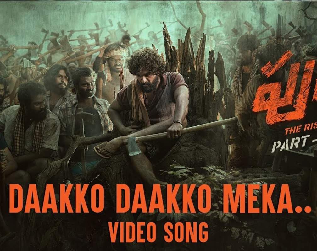 
Pushpa: The Rise | Song - Daakko Daakko Meka
