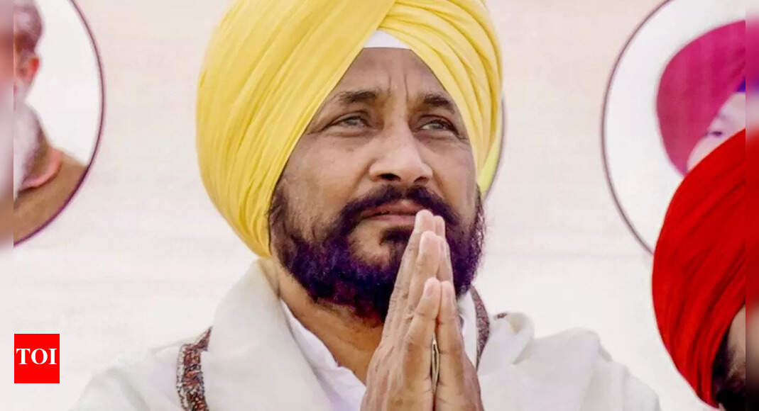 Channi: Anti-national forces trying to spread anarchy in Punjab: Channi ...