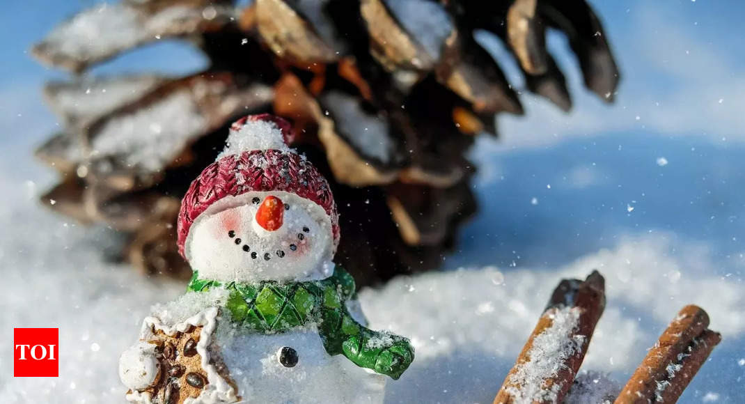 40 Snowman Quotes & Captions That Are Too Cool Not to Share