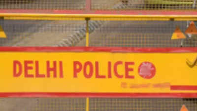 Woman, son arrested for kidnapping infant from Delhi park