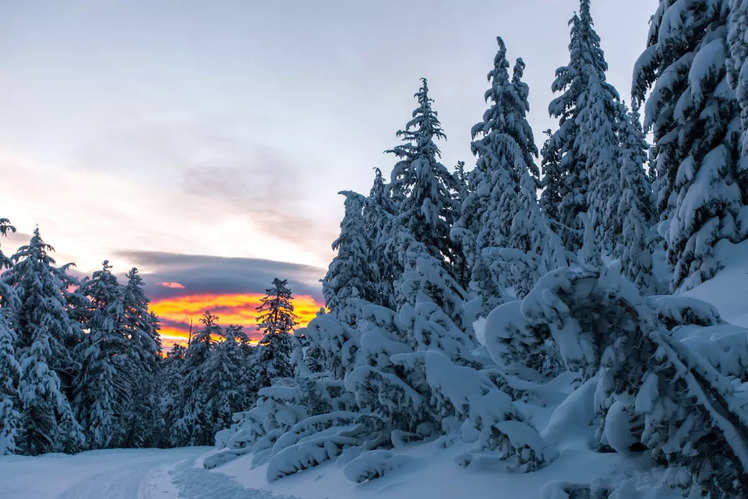 A perfect winter getaway in Mammoth Lakes | Times of India Travel