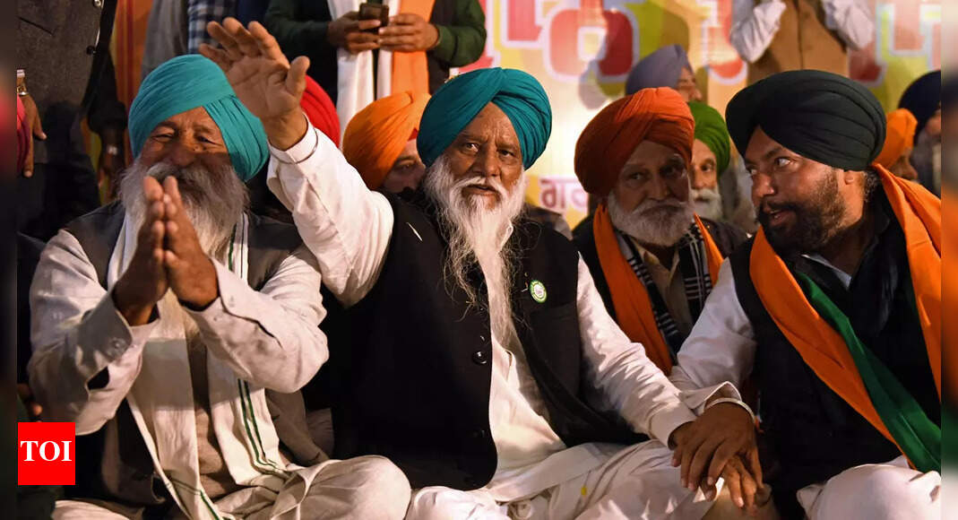 22 farmer groups form political front, will contest upcoming Punjab elections