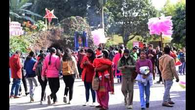 Cap of 100 guests for NY parties in Doon, Mussoorie; festivities allowed only till 10 pm